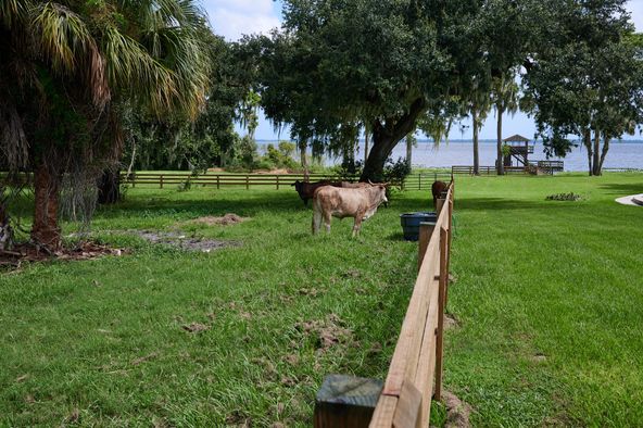 3111 Masterpiece Rd, Lake Wales, FL 33898